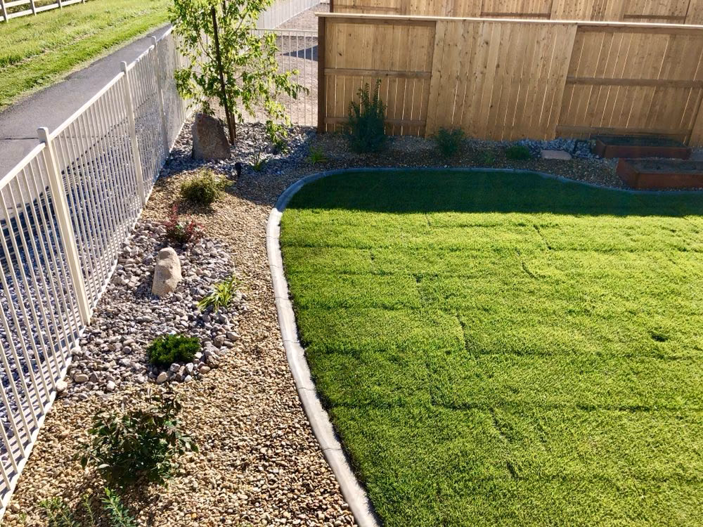 A curved sodded lawn bordered by decomposed granite and gravel beds along a wood fence