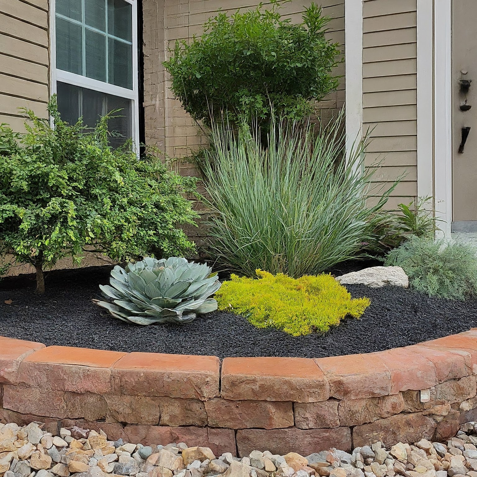 5 Benefits of Water-Efficient Landscaping Near Reno Native Plants